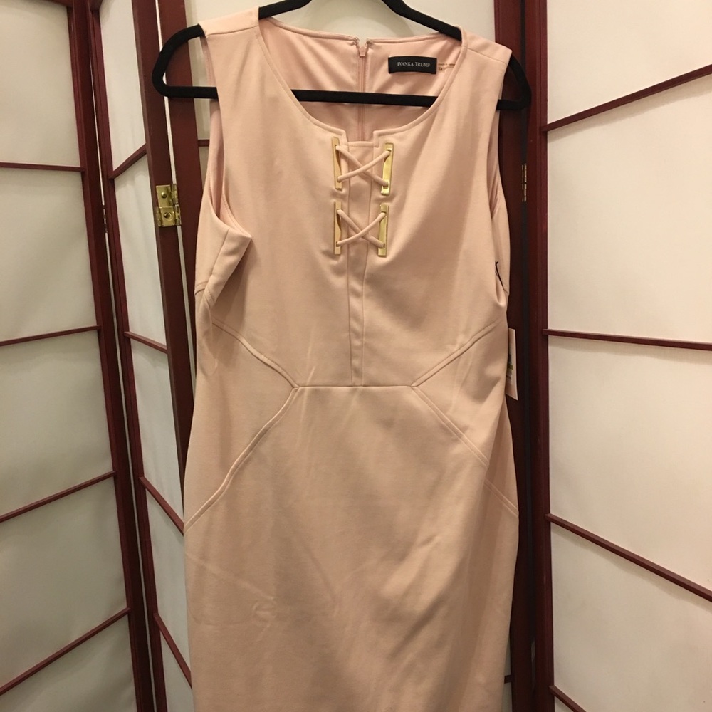 Ivanka Trump Sleeveless Pale Pink Dress. Size 14.